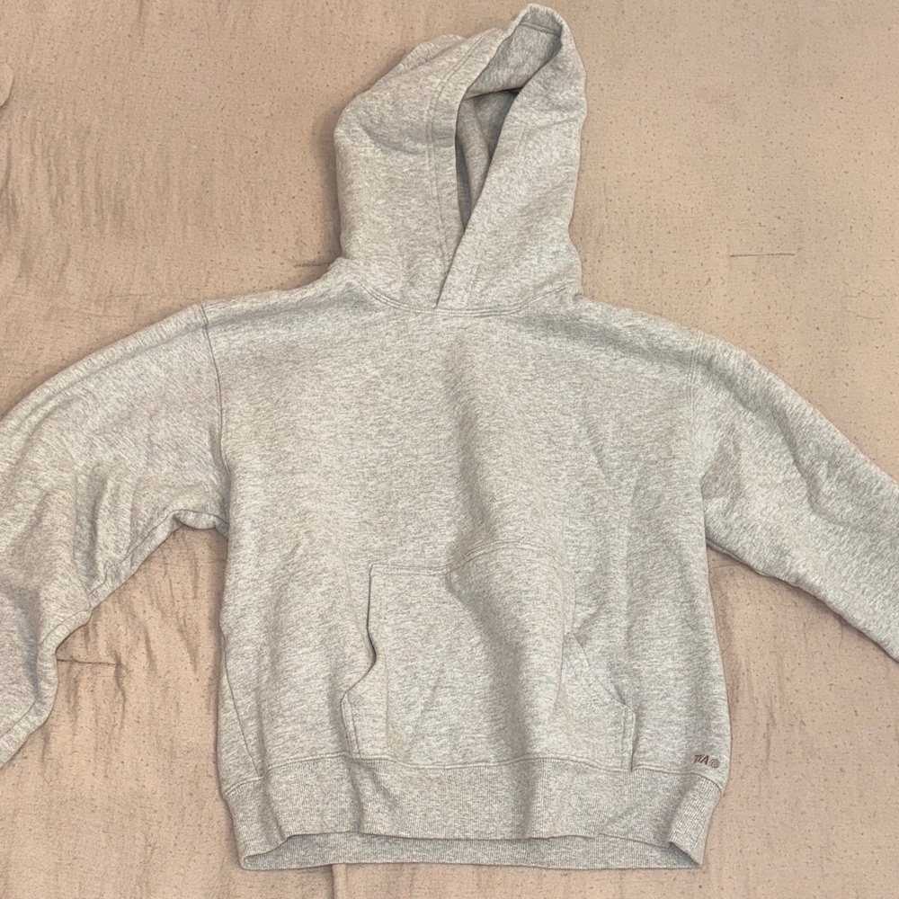 Heather chrome Aritzia Hoodie